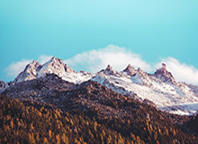 郇斯楠高二赛季个人集锦：场均得到11分8.8板4.6帽