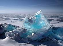 郇斯楠高二赛季个人集锦：场均得到11分8.8板4.6帽